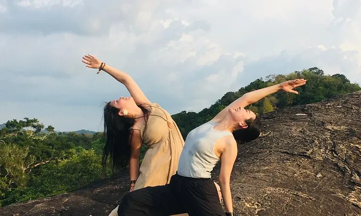 Minneriya National Park halfday Safari