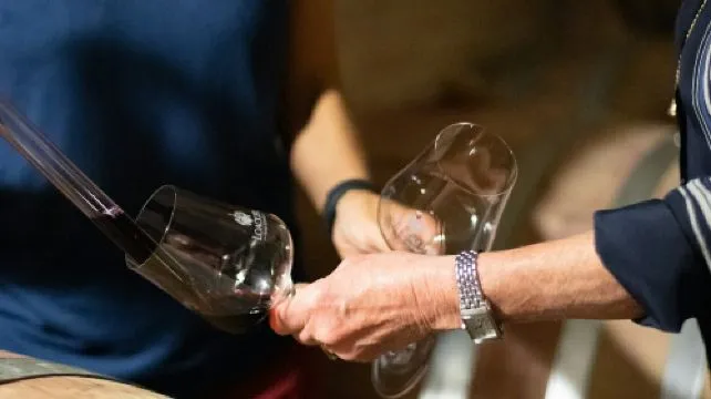 Corte Pavone Winery Estate: Backstage Brunello Tour + Gourmet Tasting
