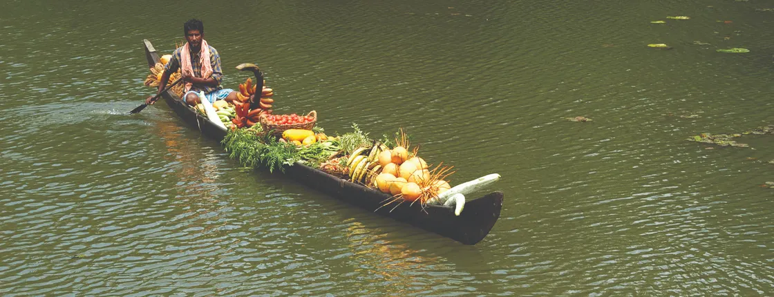 Coastal Serenity: Backwaters, Tea Estates & Marari Beach