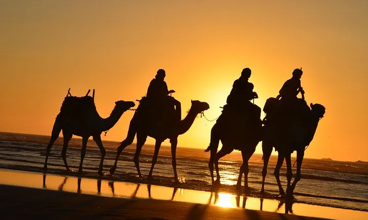 3 hours ride on camel at sunset