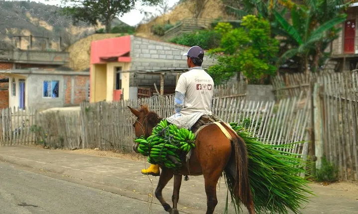 The rain forest, surroundings & lunch.