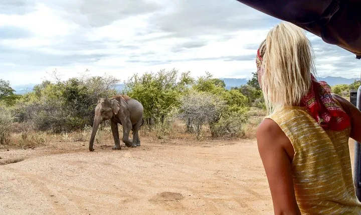 Udawalawe Safari DayTrip frm Bentota/Kalutara/Ahungalla/Hikkaduwa