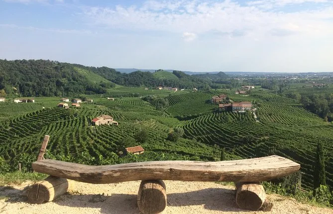 Prosecco - Wine tour & tasting - Full day in the Prosecco region