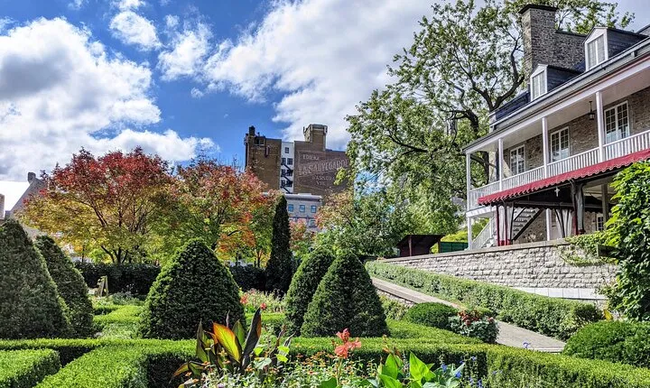 Explore Old Montreal Small Group Walking Tour by MTL Detours