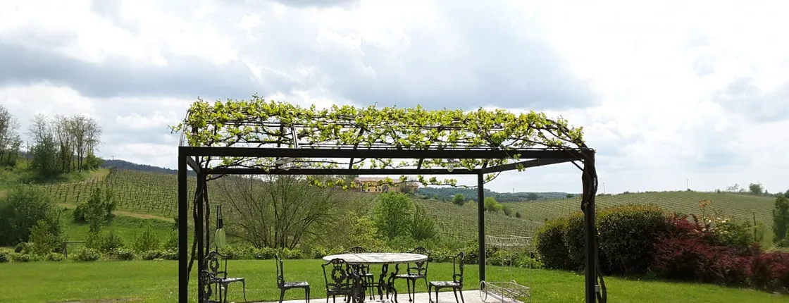 Winery tour and wine tasting at La Raia in Gavi in Piedmont