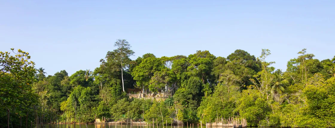 Madampe Ganga boat safari