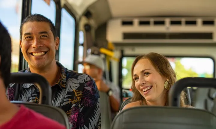 Majestic Circle Island Tour with Lunch