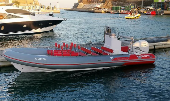 Dolphins and Benagil Caves from Albufeira