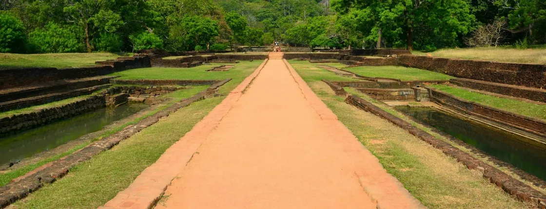 Sigiriya, Dambulla and Minneriya Park Safari Tour from the East Coast