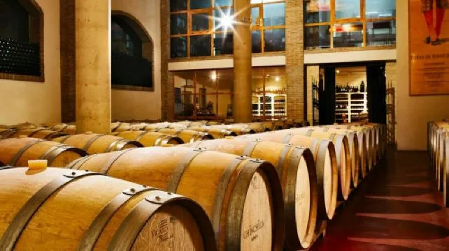 Bodega Doña Felisa: Guided Tour & Wine Tasting or Lunch Adult