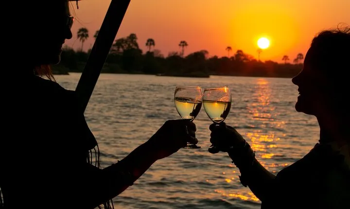 Dinner Cruise on the Zambezi River, Victoria Falls