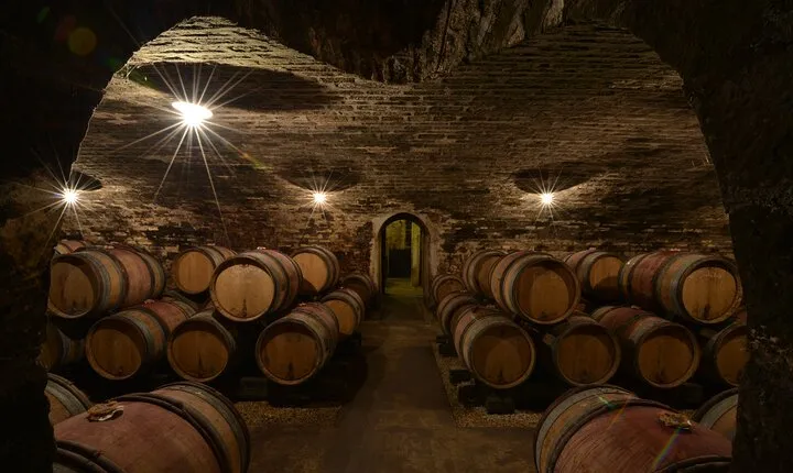 Full-Day Private Tour, 6 Premiers & Grands Crus, The Best of Burgundy