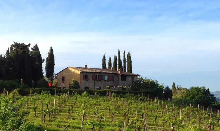 Private Tuscan meal with Wine and EVO oil tasting