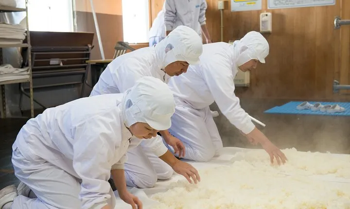 Exploring Nada Sake Breweries Kobe Private Tour with Government-Licensed Guide