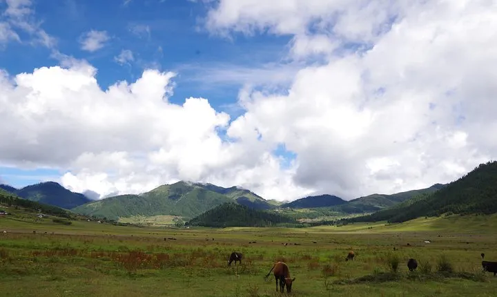 Bhutan Vacation (5 Nights-6 Days)