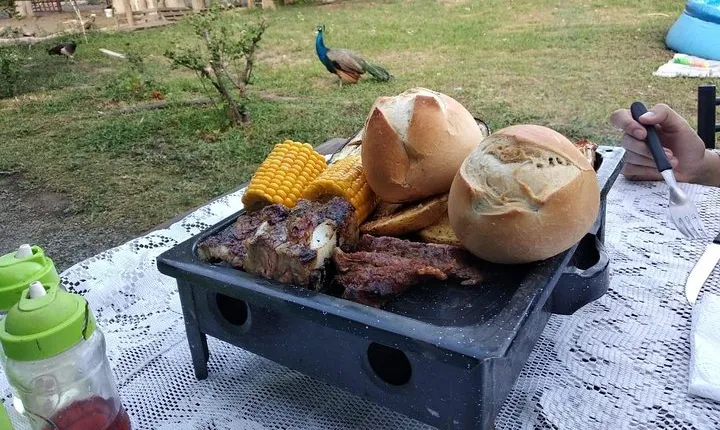  Horseback riding and roast in the mountains of Mendoza