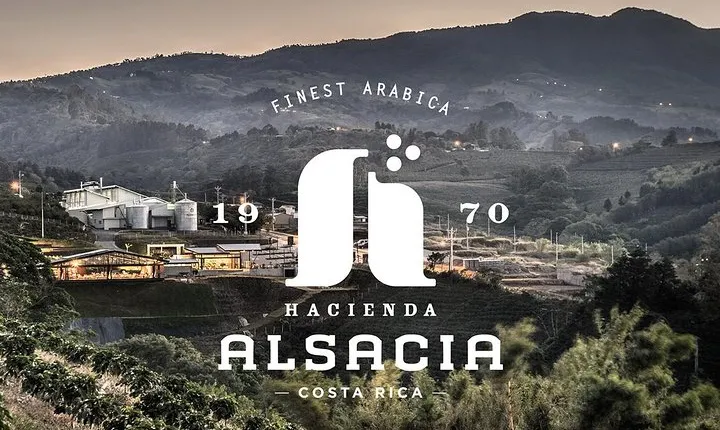 Hacienda Alsacia Starbucks Coffe Tour