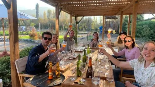 Santiago, Chile: Maipo Valley wine tour visiting 4 vineyards