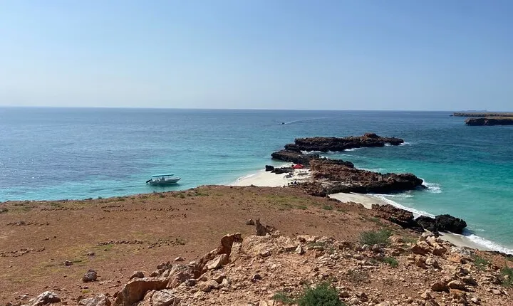 Snorkeling at Dimaniyat Islands and Dolphin Watching