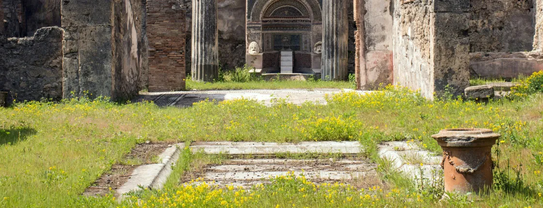 Pompeii half-day from Amalfi Coast