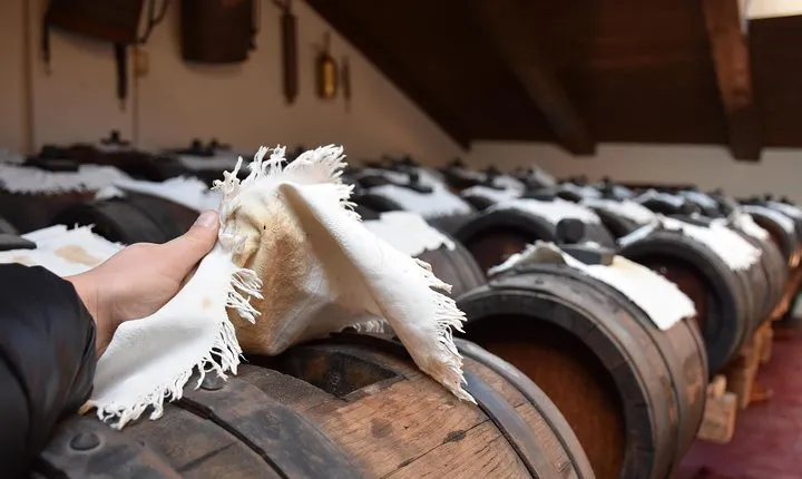 Private Full Day Parma Food Tour: Parmesan Cheese, Parma Ham, Lunch, Vinegar