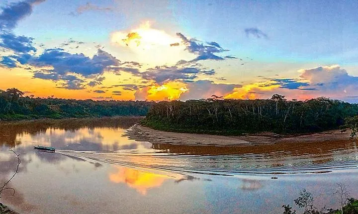 Tambopata Chuncho Macaw Clay Lick 3 Days