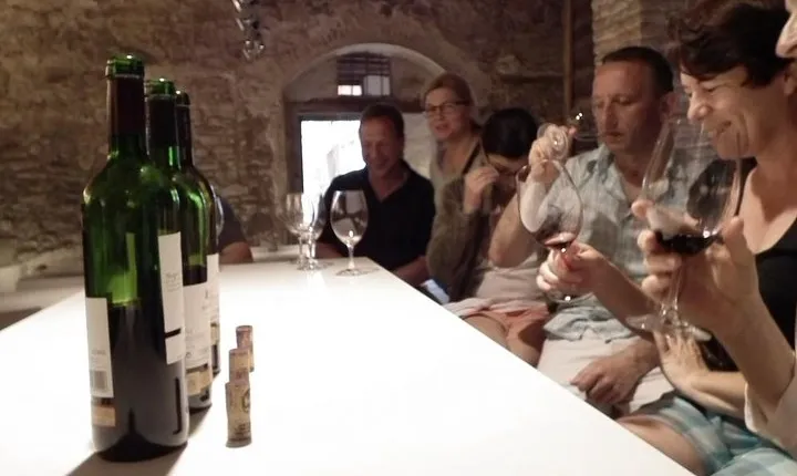 Private Wine and Oil Tour in the Priorat Wine Region