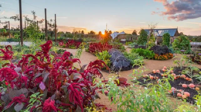 RHS Garden Wisley Ticket Child