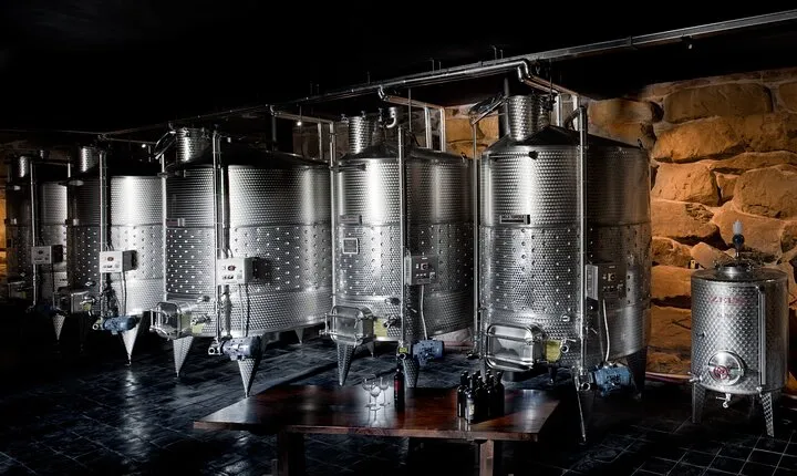 Discover Sustainable Wines in a Guided Tour and Tasting