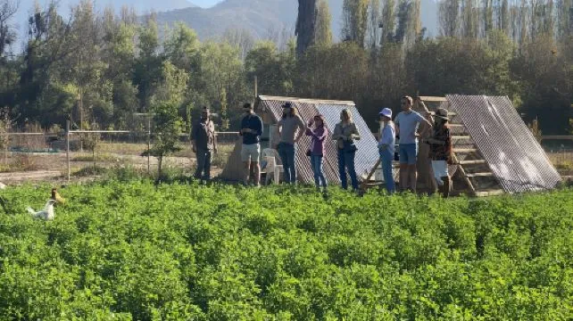 Santiago, Chile: Maipo Valley Wine Tour with Visits to 4 Vineyards