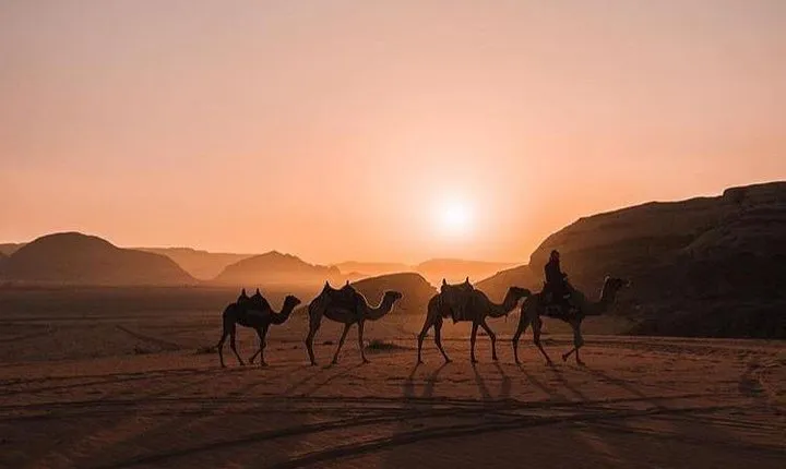 Full Day Jeep Tour with Overnight in beduin Camp Stay! (All Meals Included)