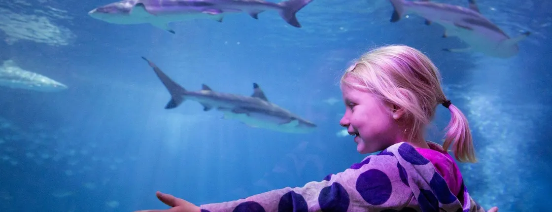 SEA LIFE Oberhausen tickets