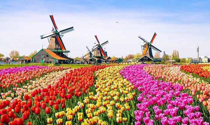 Dutch Countryside and Zaanse Schans Windmills Private Tour