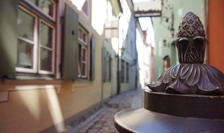 Bike Tour in Riga with Professional Guide