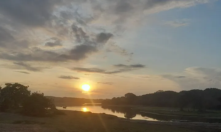 Chauffeur guide and Tour organizer