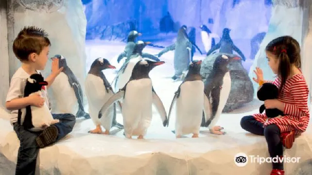 SEA LIFE Val d'Europe Admission Ticket Adult