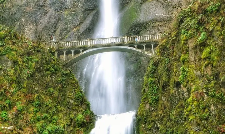 Multnomah Falls and Columbia River Gorge Half-Day Hiking Tour