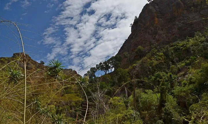 Private Tour for the Highlights of Madagascar