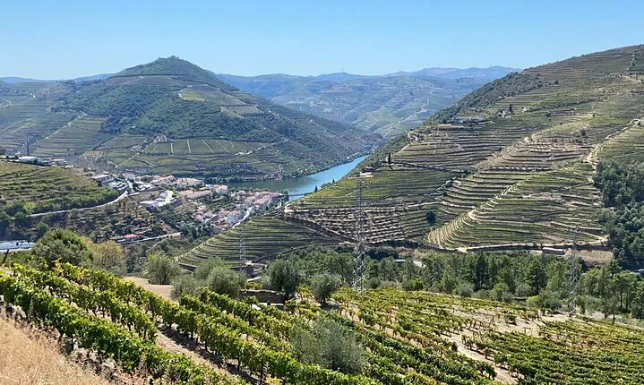 Douro Valley 3 Wine Experiences with Lunch & Optional Boat Cruise
