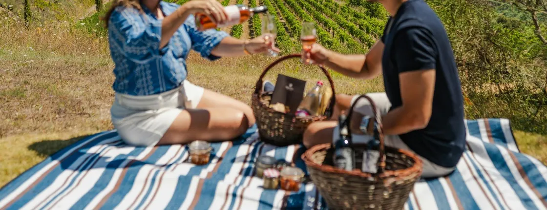 Picnic With a Bottle of Wine in Montalcino With Optional Wine Tour
