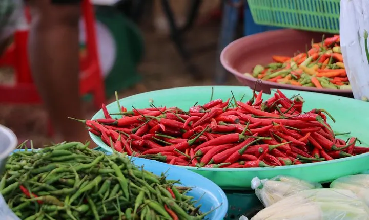 Authentic Thai Cooking Class in Khao Lak with Market Tour by Pakinnaka School
