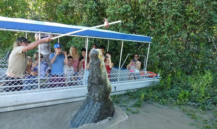 Jumping Crocodile Experience