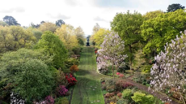 RHS Garden Wisley Ticket (Child)