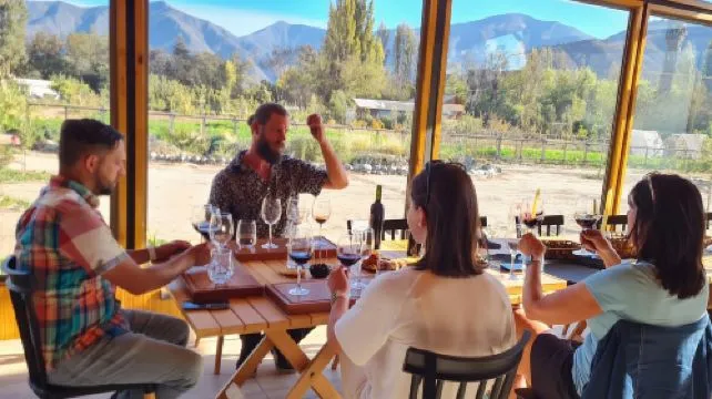 Santiago, Chile: Maipo Valley Wine Tour with Visits to 4 Vineyards
