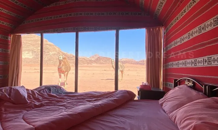 Wadi Rum Full Day Jeep Tour + Overnight & Dinner in Bedouin Camp