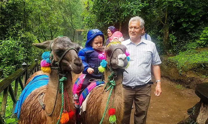 Otavalo Tour from Quito Visiting Cayambe, Indigenous Market