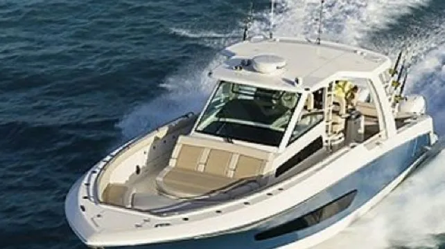 Maui: 2-Hour Maalaea Bay Whale Watching Cruise in a Small Group