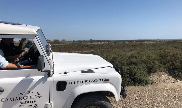 4x4 Camargue Safari 4h - Private Tour - Departure from Arles