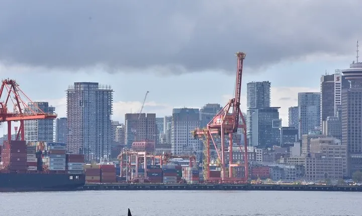 Half-Day Whale Watching Adventure from Vancouver