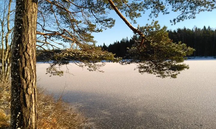 Hiking tour in Nuuksio National Park with meal and snacks